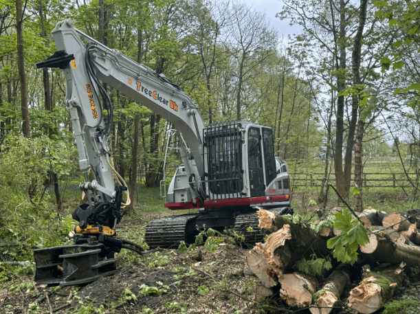 yorkshire rhododendron clearance