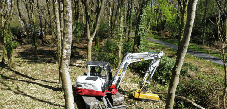 Rhododendron Clearance County Durham