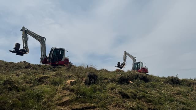 Peatland Restoration (Blea Moor, The Yorkshire Dales National Park)