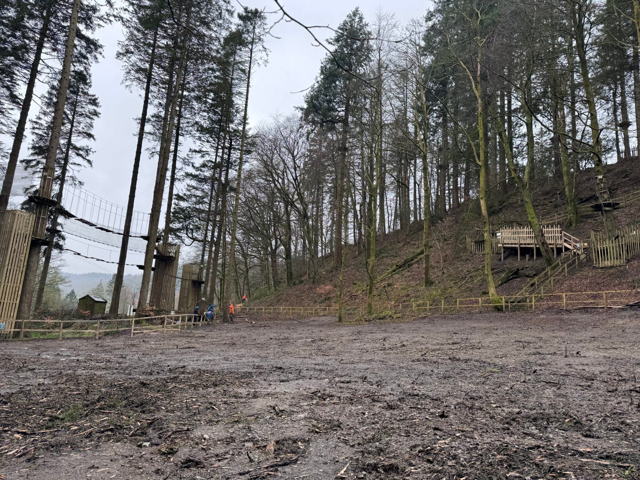 The cleared Go Ape site