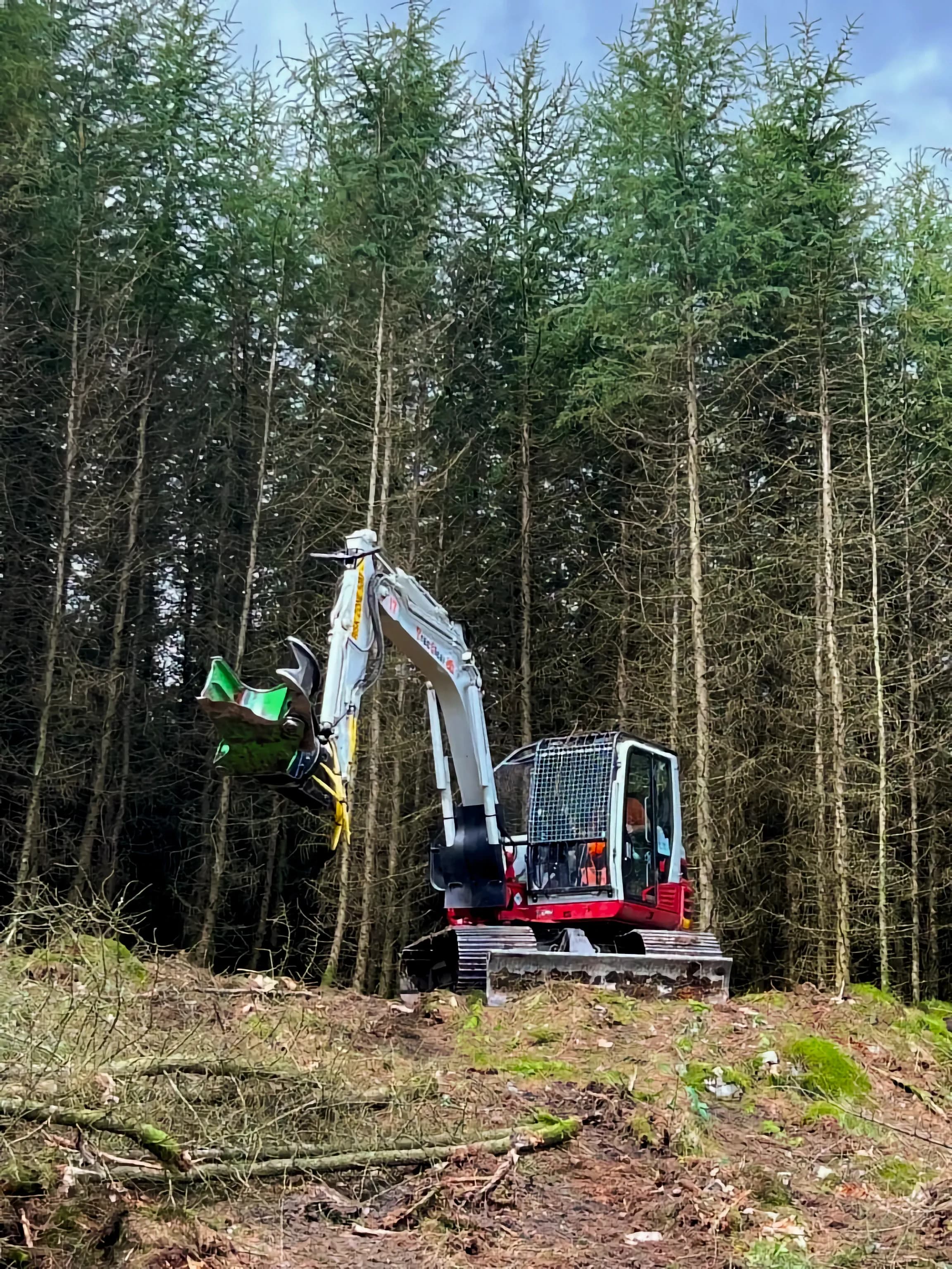 Treeclear UK completing tree shearing