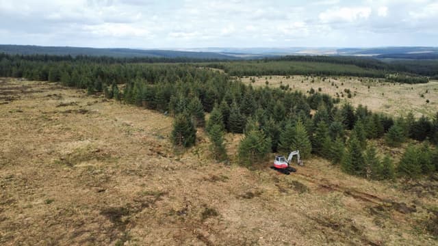 Peatland Restoration Techniques