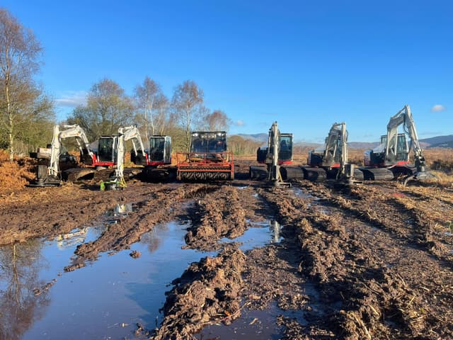 Peatland Tree Removal: A Key Step in Restoring Natural Wetlands