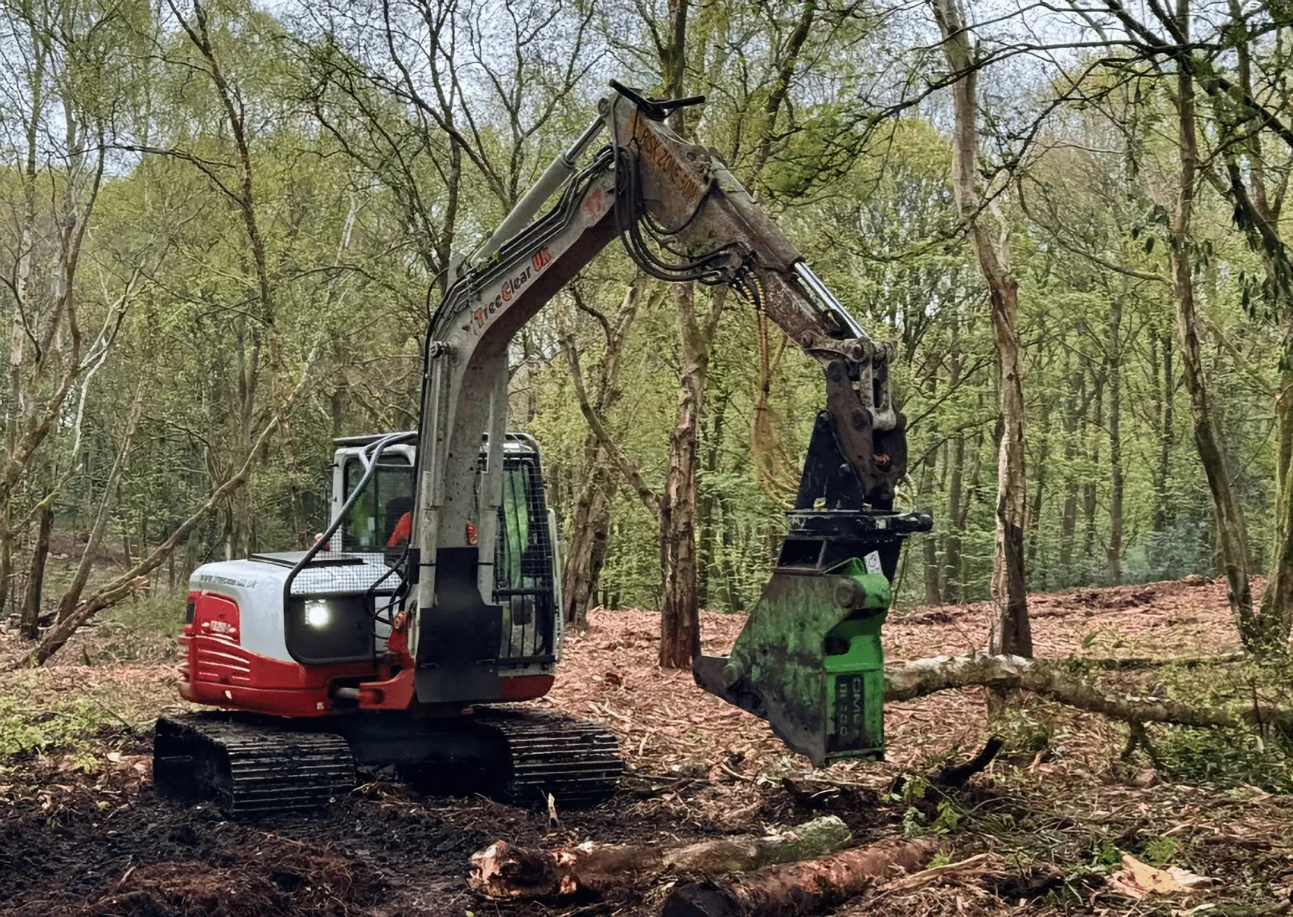 Rhododendron Clearance & Woodland Management (Private Shooting Estate in West Lancashire – Case Study)